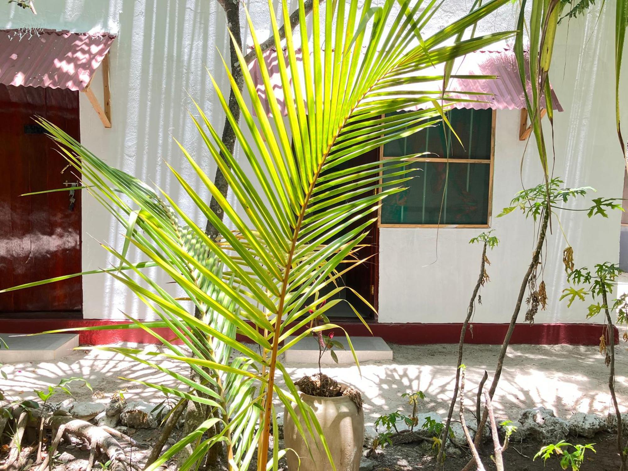 Mount Zion Lodge Michamvi Pokoj fotografie